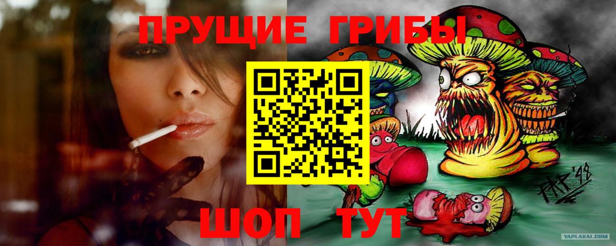 Псилоцибиновые грибы Psilocybine cubensis Соль-Илецк